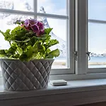 Maybua By May's بيت للعطل